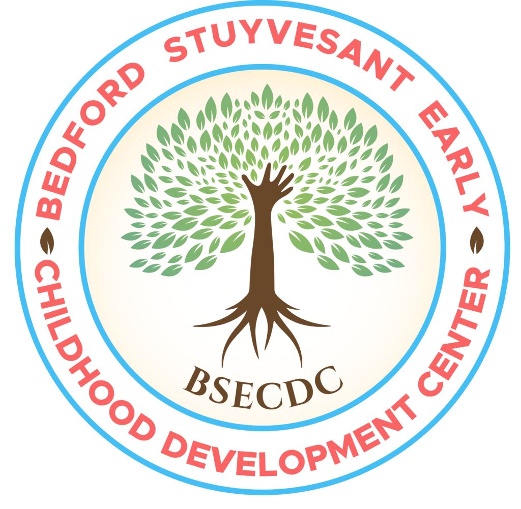 contact-us-bedford-stuyvesant-early-childhood-development-center